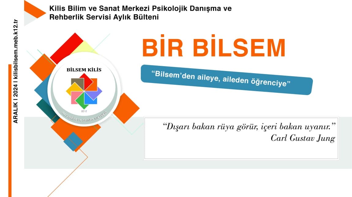 Bir Bilsem Ebeveyn Bülteni Aralık Sayısı